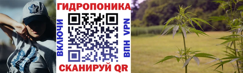 Купить наркотик аптеки Грязовец COCAIN  Метамфетамин  A-PVP  Конопля  Мефедрон  Псилоцибиновые грибы 
