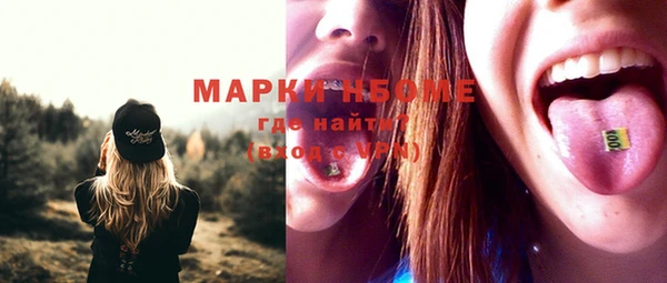 бошки Алексин