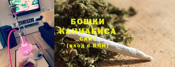 бошки Алексин