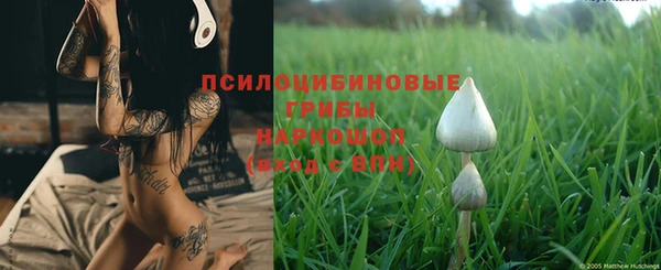 бошки Алексин