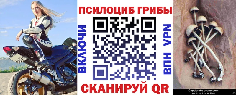 Галлюциногенные грибы Magic Shrooms  Грязовец 